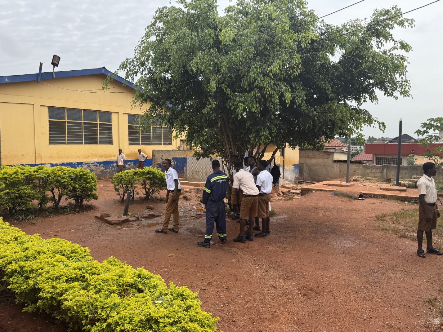 Technical institute students talking under a tree on the school compound